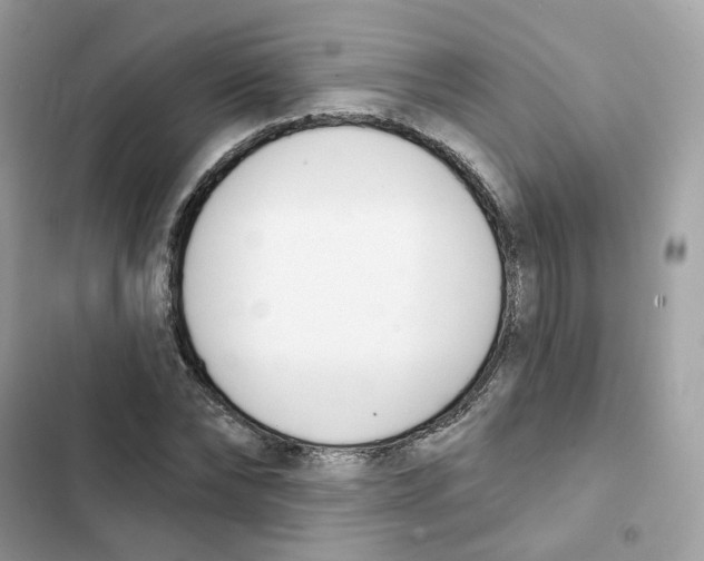 X0000102000878200808151445