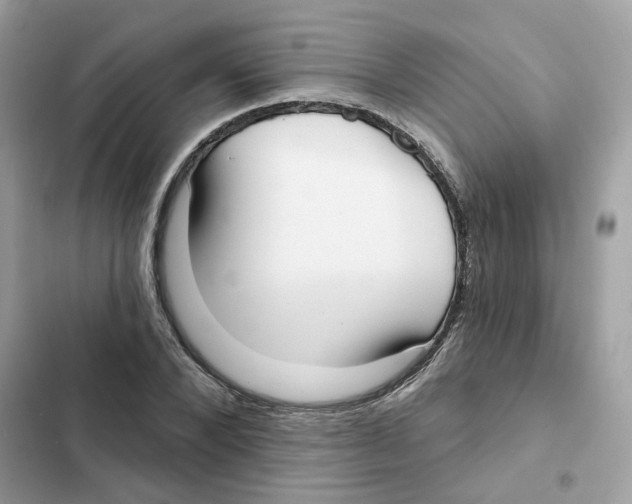 X0000102000880200808151445