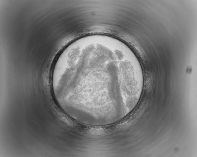 X0000102000882200808151445