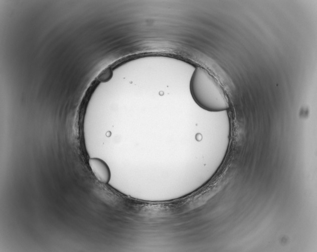 X0000102000883200808151445