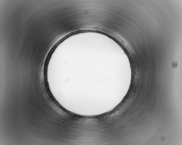 X0000102000884200808151445