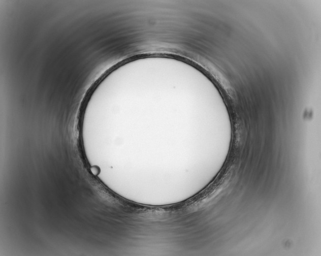 X0000102000885200808151445