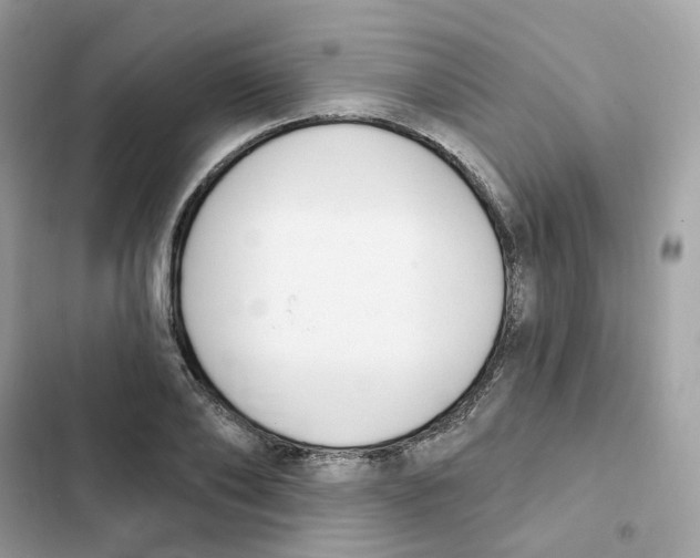 X0000102000886200808151445