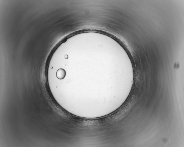 X0000102000887200808151445