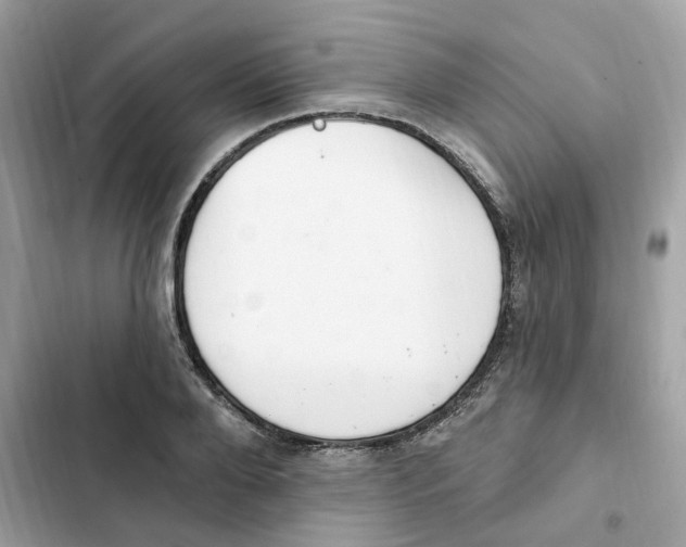 X0000102000888200808151445