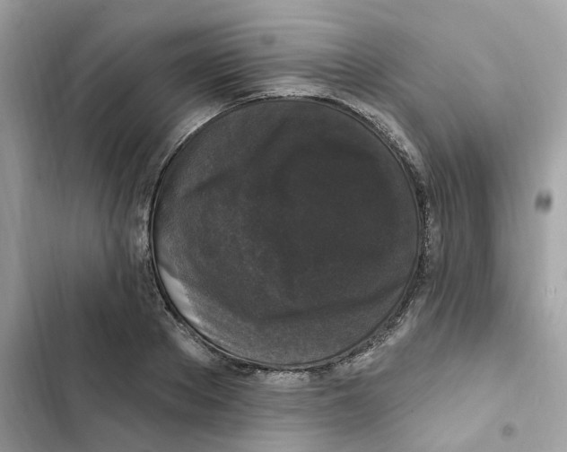 X0000102000889200808151445