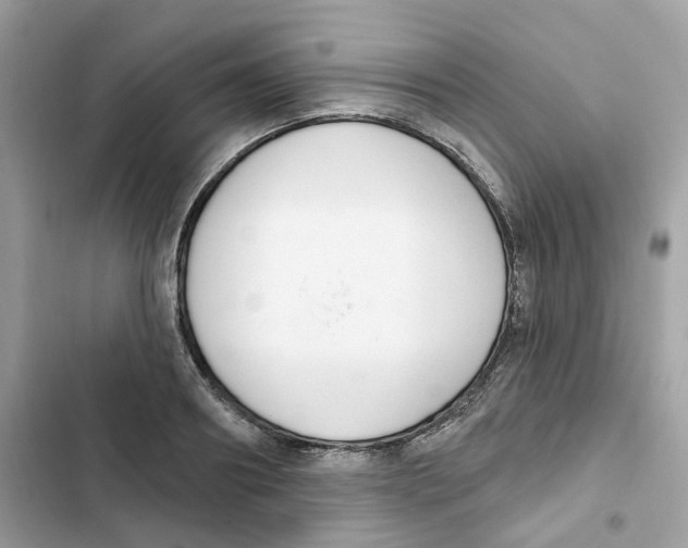 X0000102000890200808151444