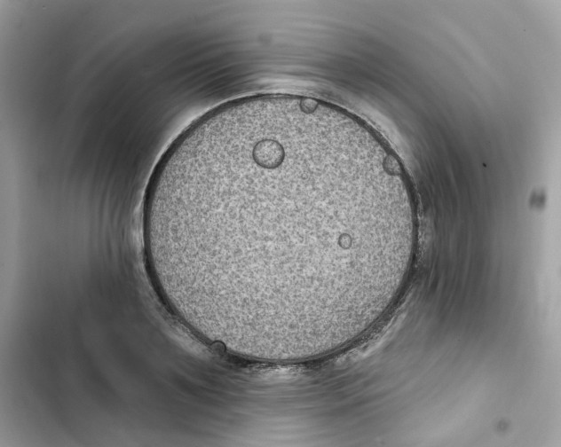 X0000102000891200808151444