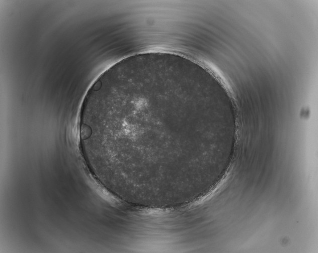 X0000102000892200808151444