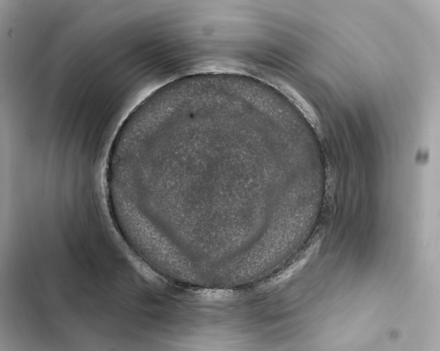 X0000102000893200808151444