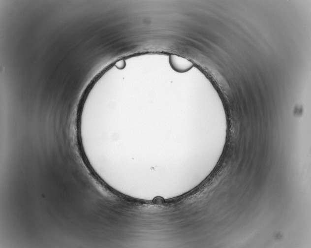 X0000102000894200808151444