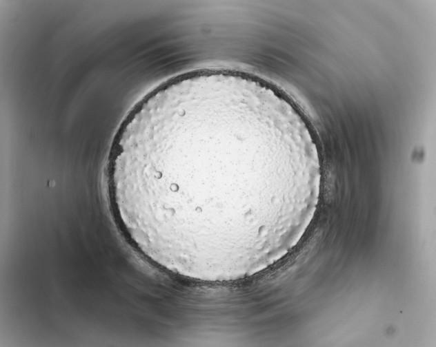 X0000102000895200808151444