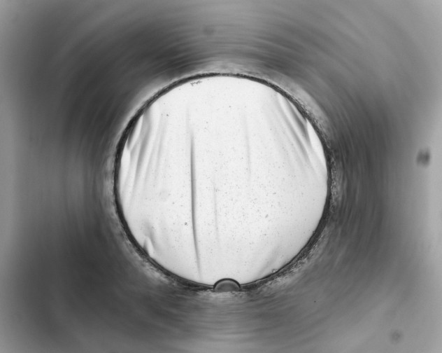 X0000102000896200808151444