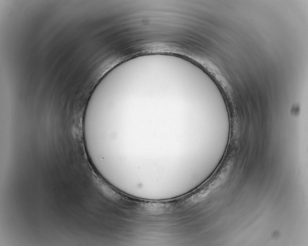 X0000102000897200808151444