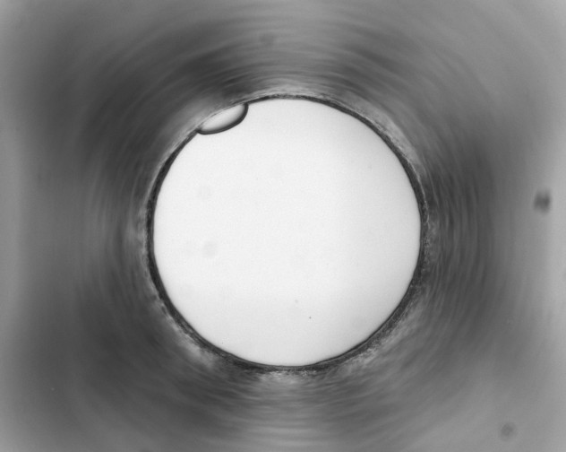 X0000102000898200808151444