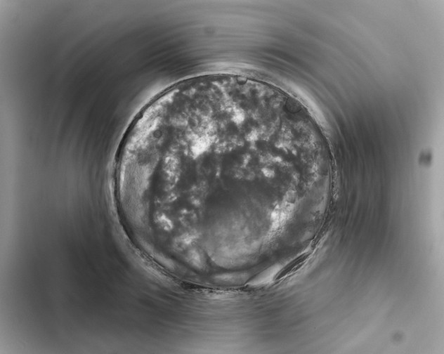 X0000102000899200808151444