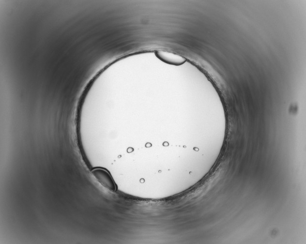 X0000102000902200808151444