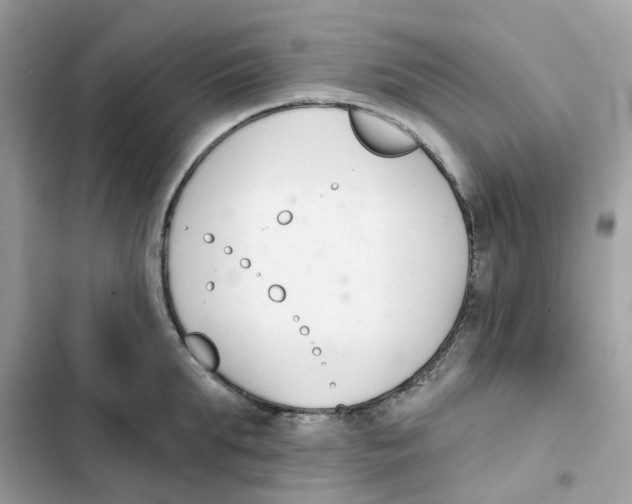 X0000102000903200808151444