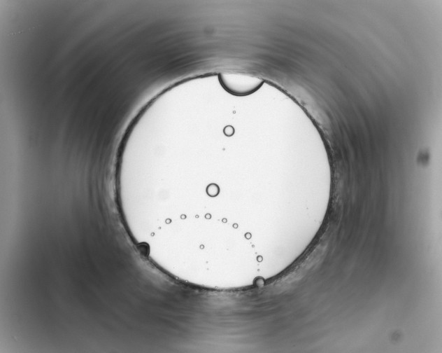 X0000102000904200808151444