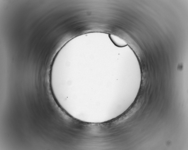 X0000102000906200808151444