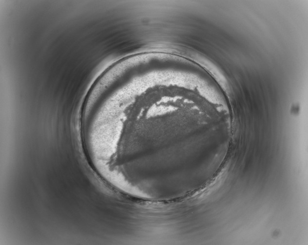 X0000102000907200808151444