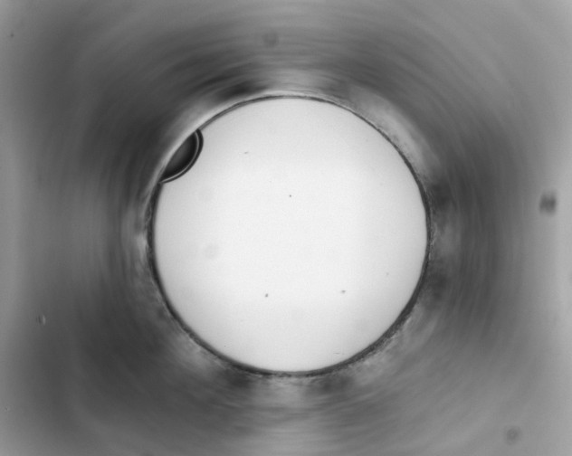 X0000102000908200808151444