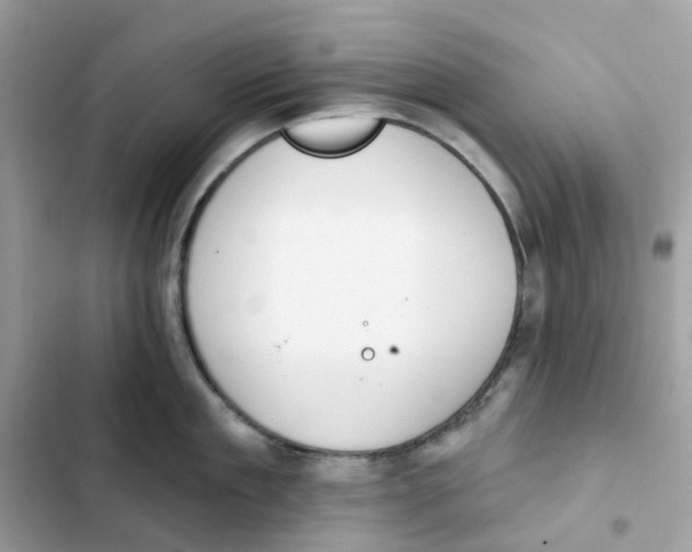 X0000102000909200808151444