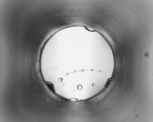 X0000102000910200808151444