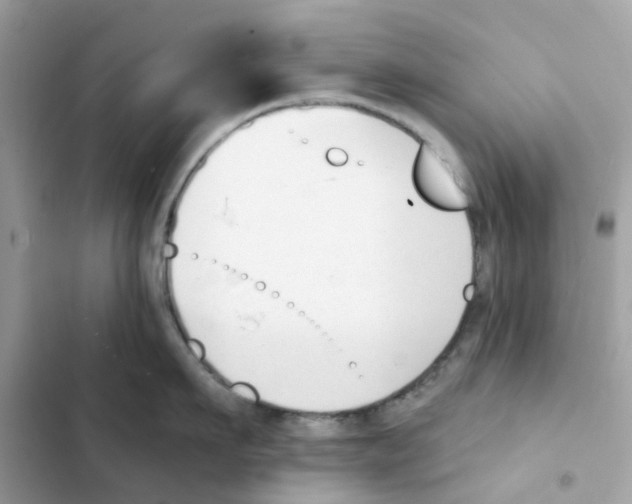 X0000102000911200808151444