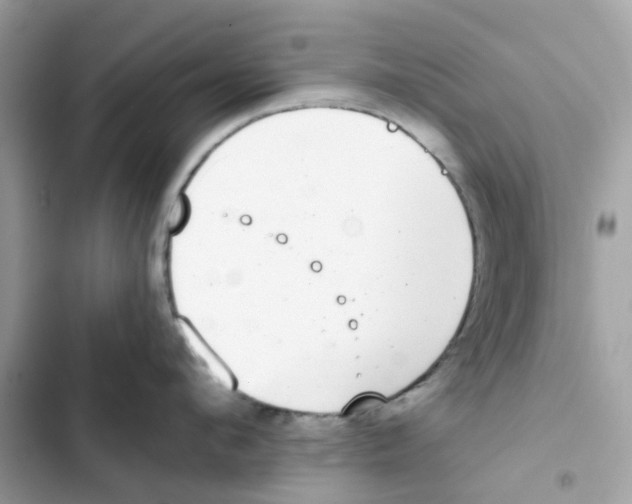 X0000102000912200808151444