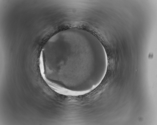 X0000102000913200808151443