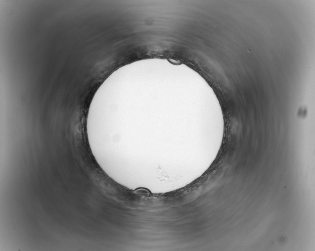 X0000102000914200808151443