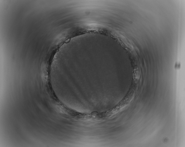 X0000102000916200808151443