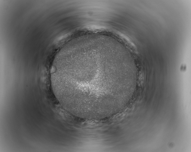 X0000102000917200808151443