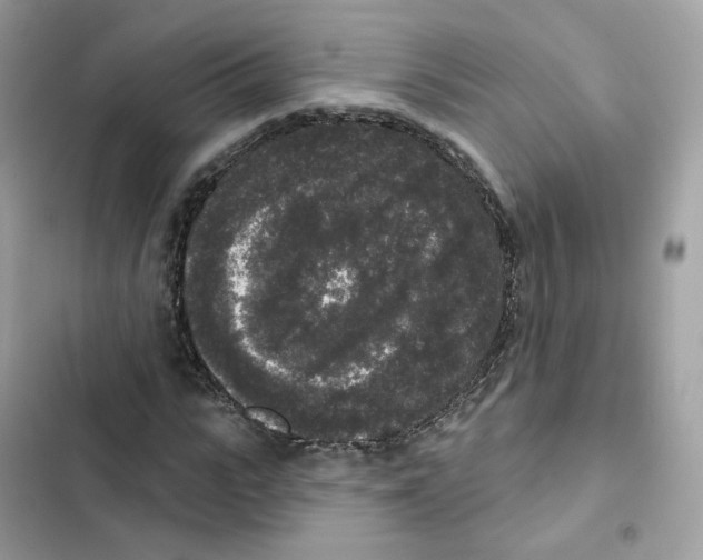 X0000102000919200808151443