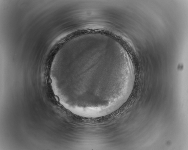 X0000102000920200808151443