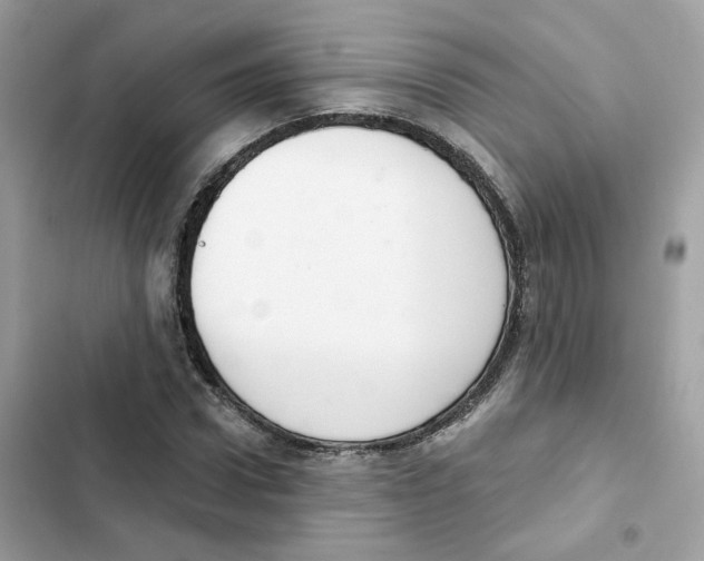 X0000102000922200808151443