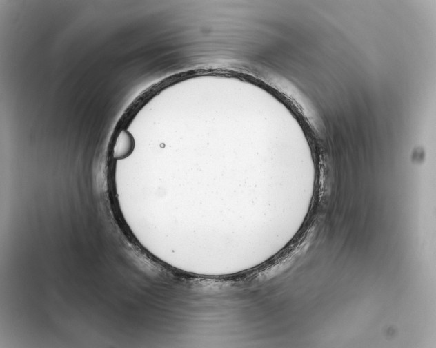 X0000102000924200808151443