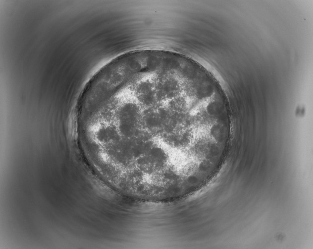 X0000102000925200808151443