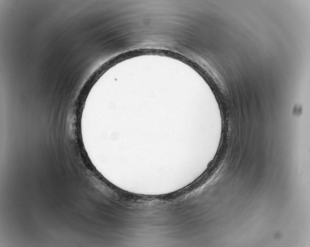 X0000102000926200808151443