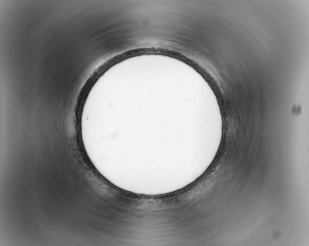 X0000102000927200808151443