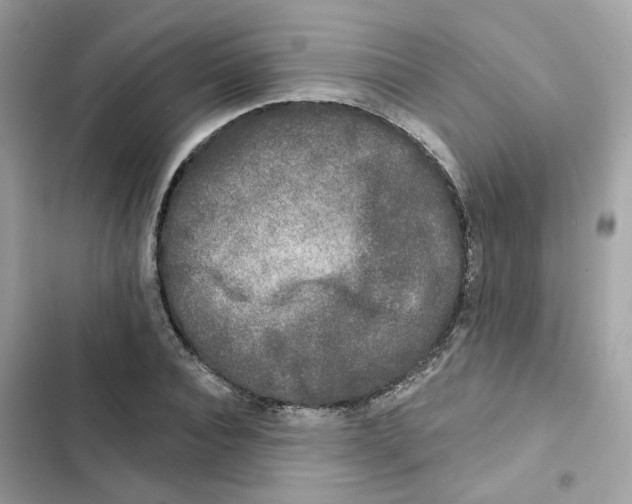 X0000102000928200808151444