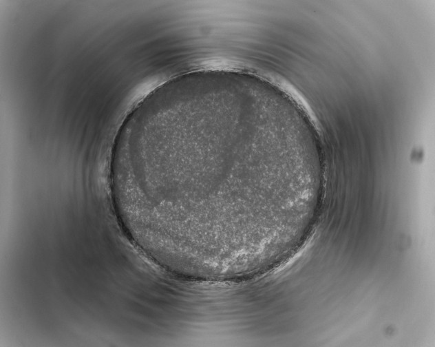 X0000102000930200808151444