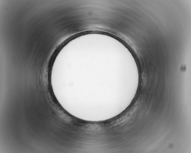 X0000102000931200808151444