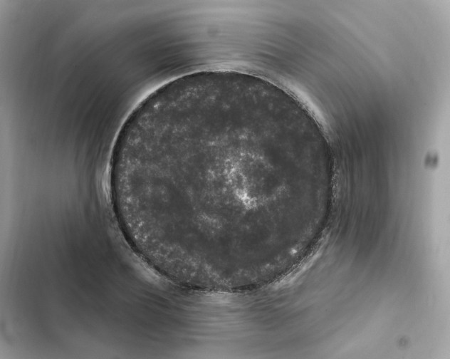 X0000102000932200808151444