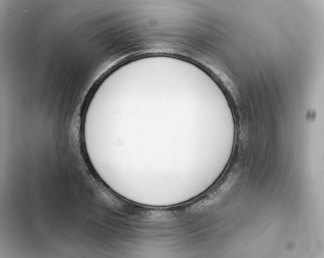 X0000102000933200808151444