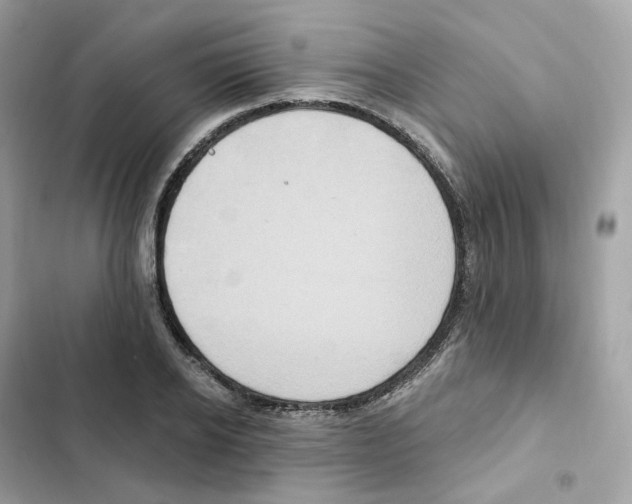 X0000102000934200808151444