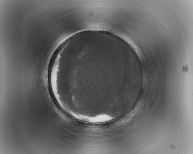 X0000102000935200808151444