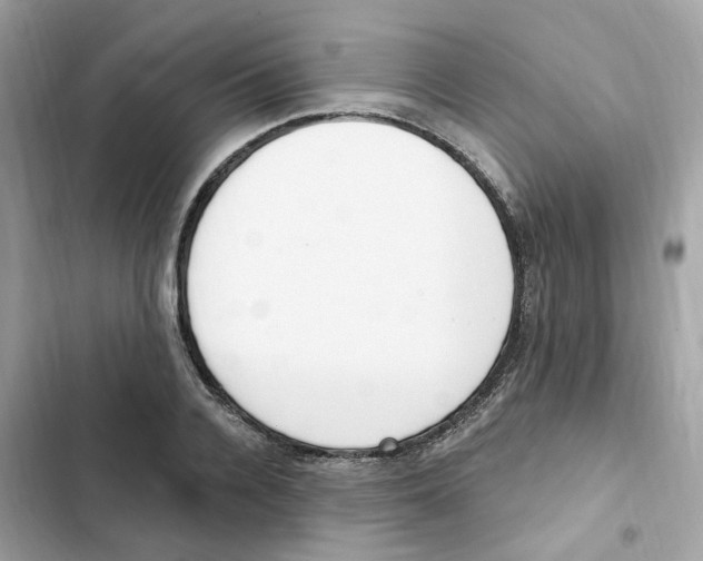 X0000102000936200808151444