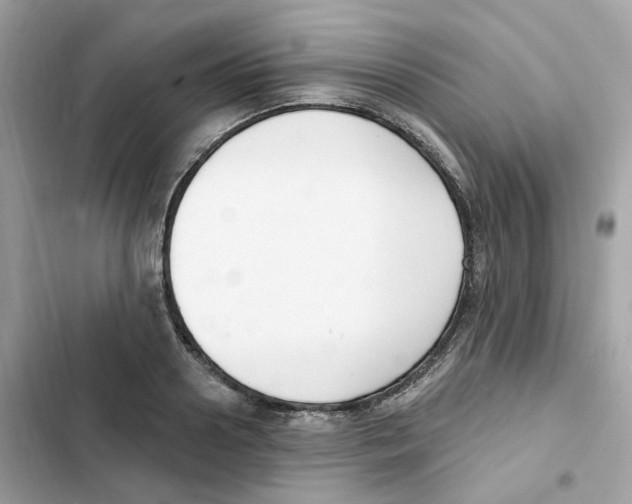 X0000102000938200808151444